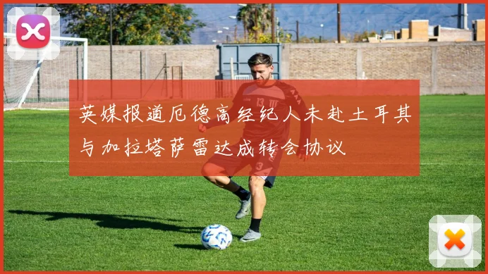 英媒报道厄德高经纪人未赴土耳其与加拉塔萨雷达成转会协议
